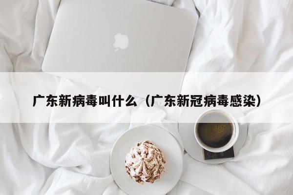 广东新病毒叫什么（广东新冠病毒感染）