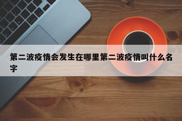第二波疫情会发生在哪里第二波疫情叫什么名字